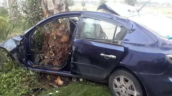 רכב התנגש בעץ באשקלון, צעיר כבן 20 נהרג