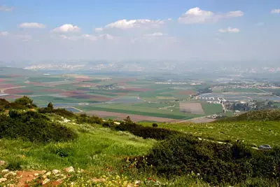 יותר טוב כמעט מכלום