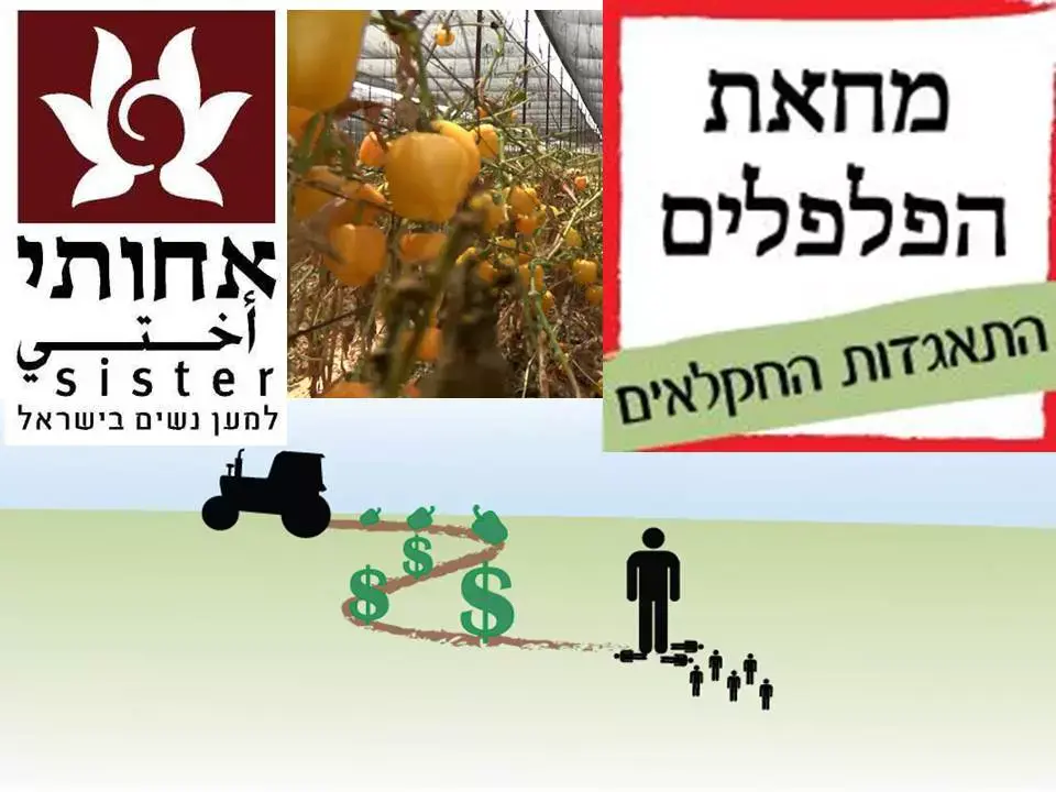 הכינו את קערות הסלט: 10 טונה ירקות יחולקו חינם בתל אביב