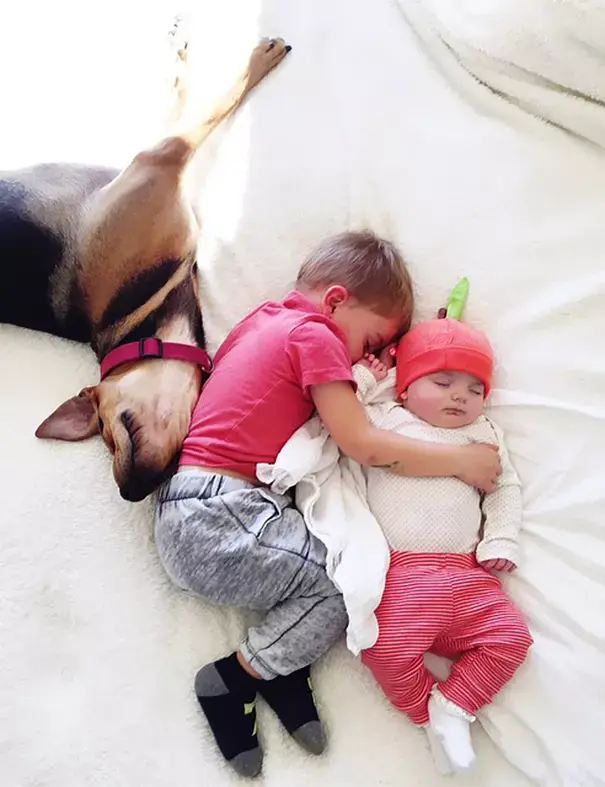 גונבים את ההצגה: כלב, ילד ותינוקת במיטה אחת