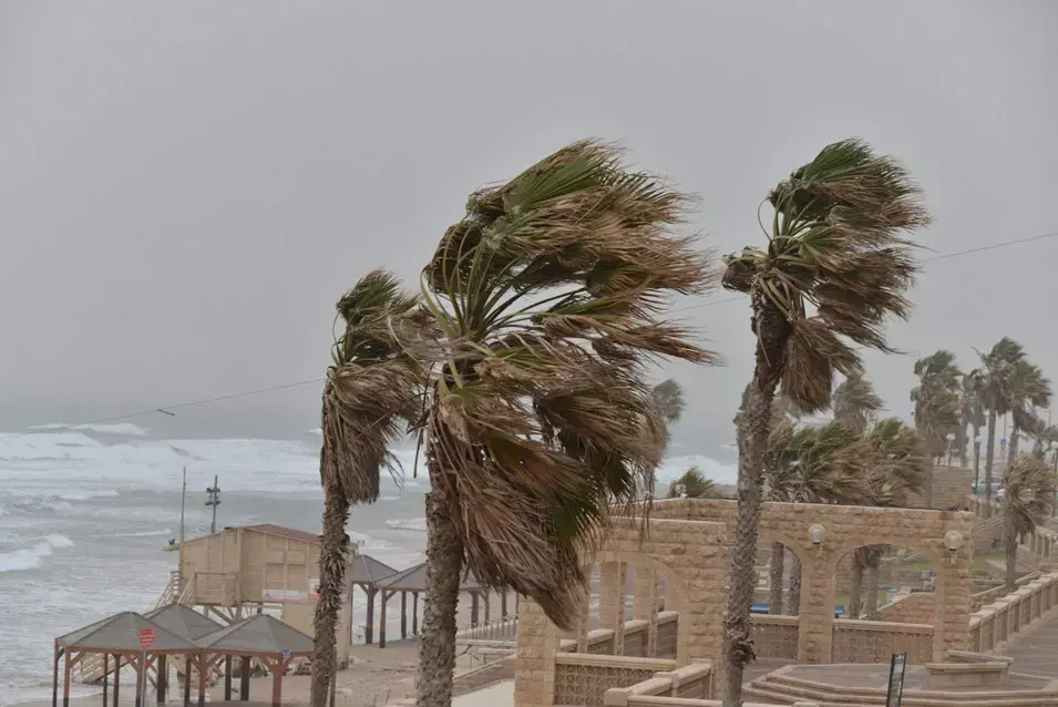 בשל האובך: טיסות בוטלו, זיהום האוויר - פי 50 מהרגיל