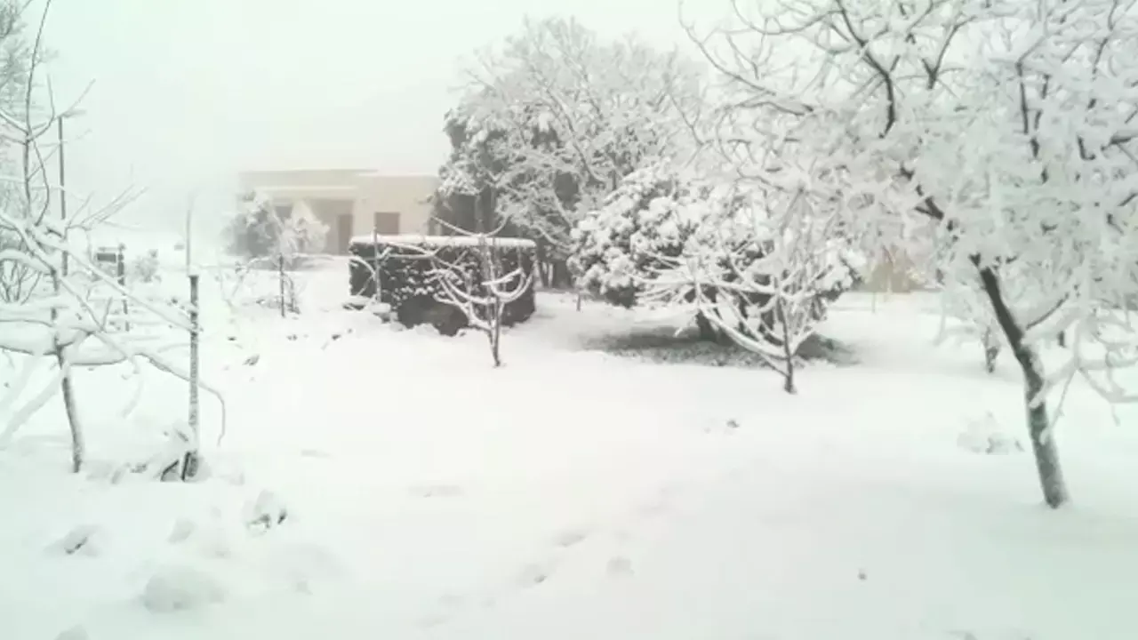 כאב הראש של החורף: למה אנחנו לא צריכים לשמוח משלג?
