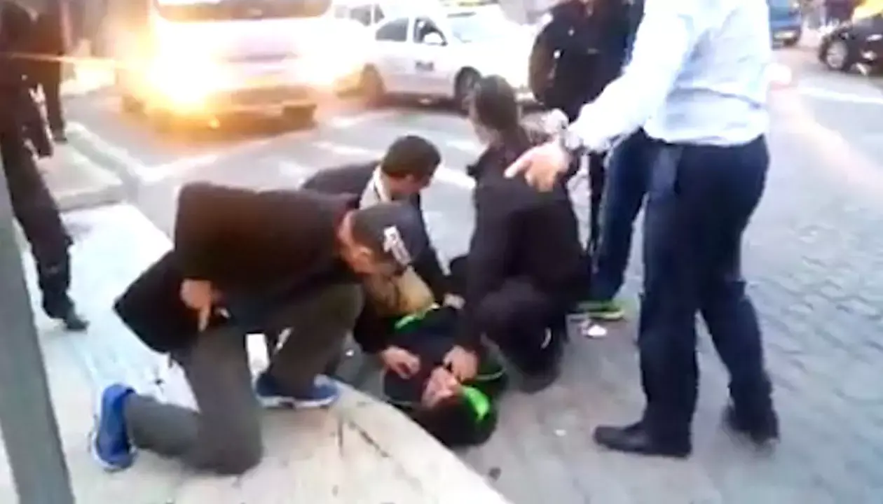 ברחבי העולם מתפעלים מברקת, "הגיבור" של ירושלים