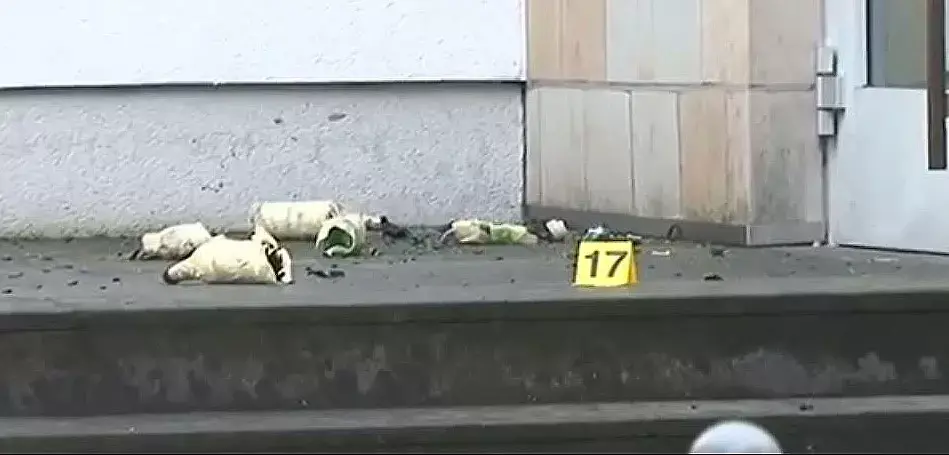"לא נסתגר בבתים": יהודי גרמניה מסרבים להיכנע לאנטישמים החדשים