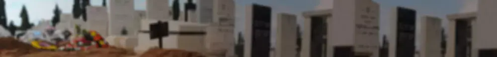 החיים עצמם