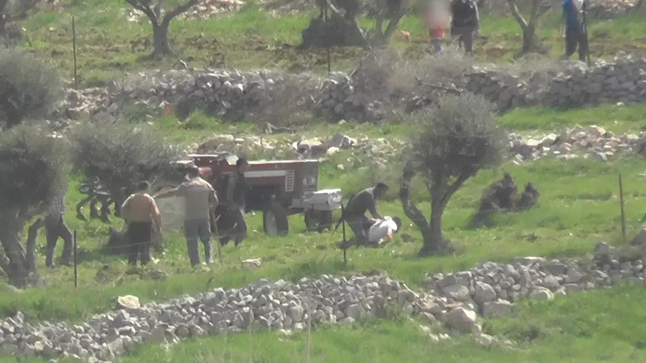 תיעוד: מתנחלים תוקפים פלסטינים בכפר בורין שבשומרון