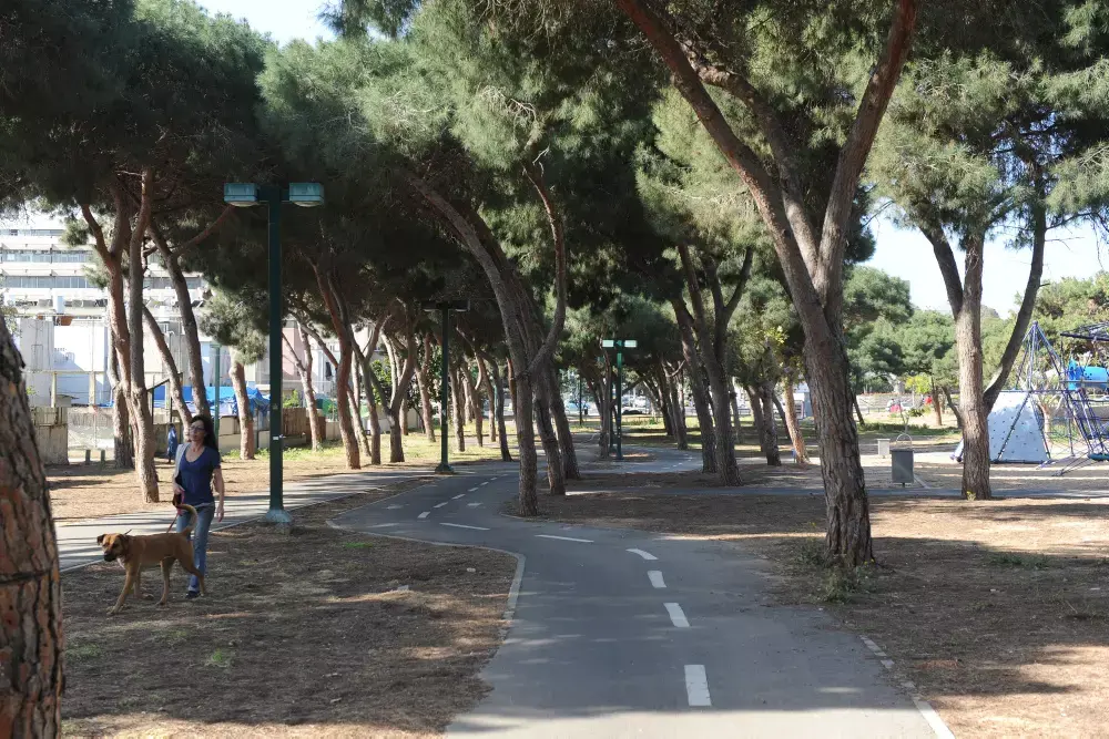 הגורם המפתיע שעוזר לבריאות הלב - ולא רק