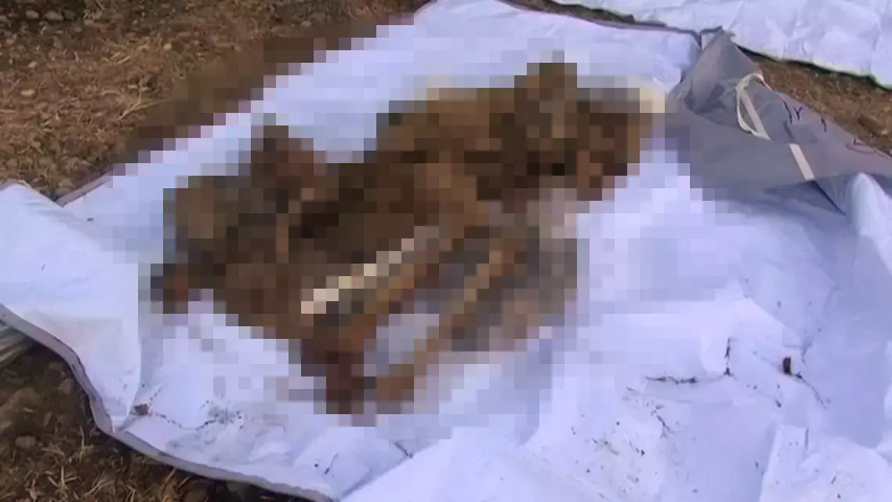 אחרי שחרור תיכרית מדאעש: נחשפו קברי אחים המוניים