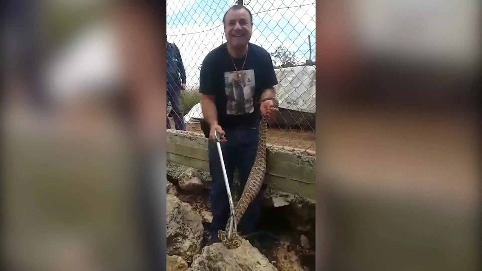 שוטרי באר שבע נדהמו: 11 כבשים ועזים במושב האחורי ברכב