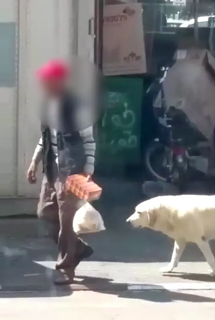 תושב צפון הארץ תועד כשהוא מקיים יחסי מין עם כלב לברדור