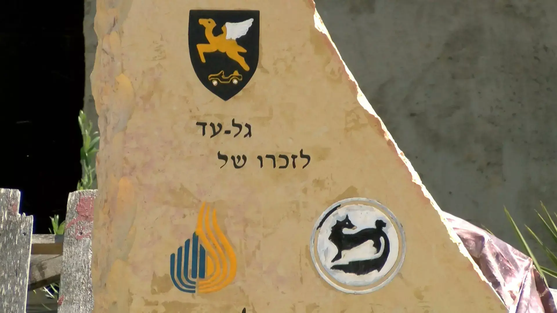 המהדורה המקומית - חדשות הדרום 22.4.15