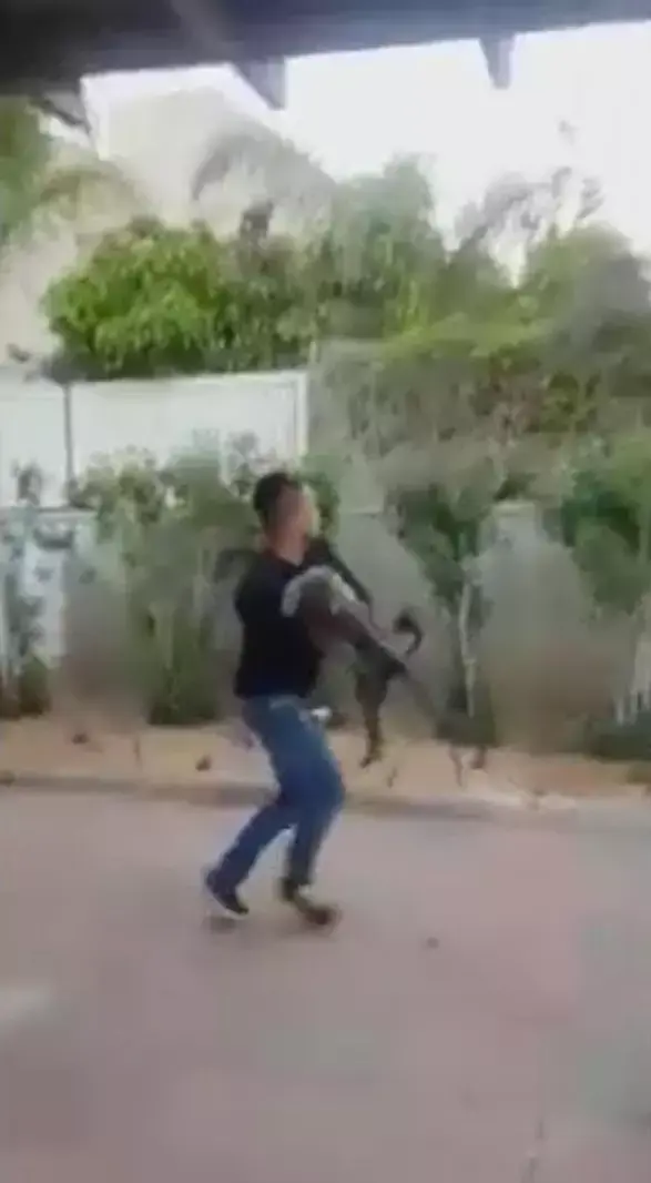 נער שתועד משליך כלבה לעיני חבריו עוכב לחקירה