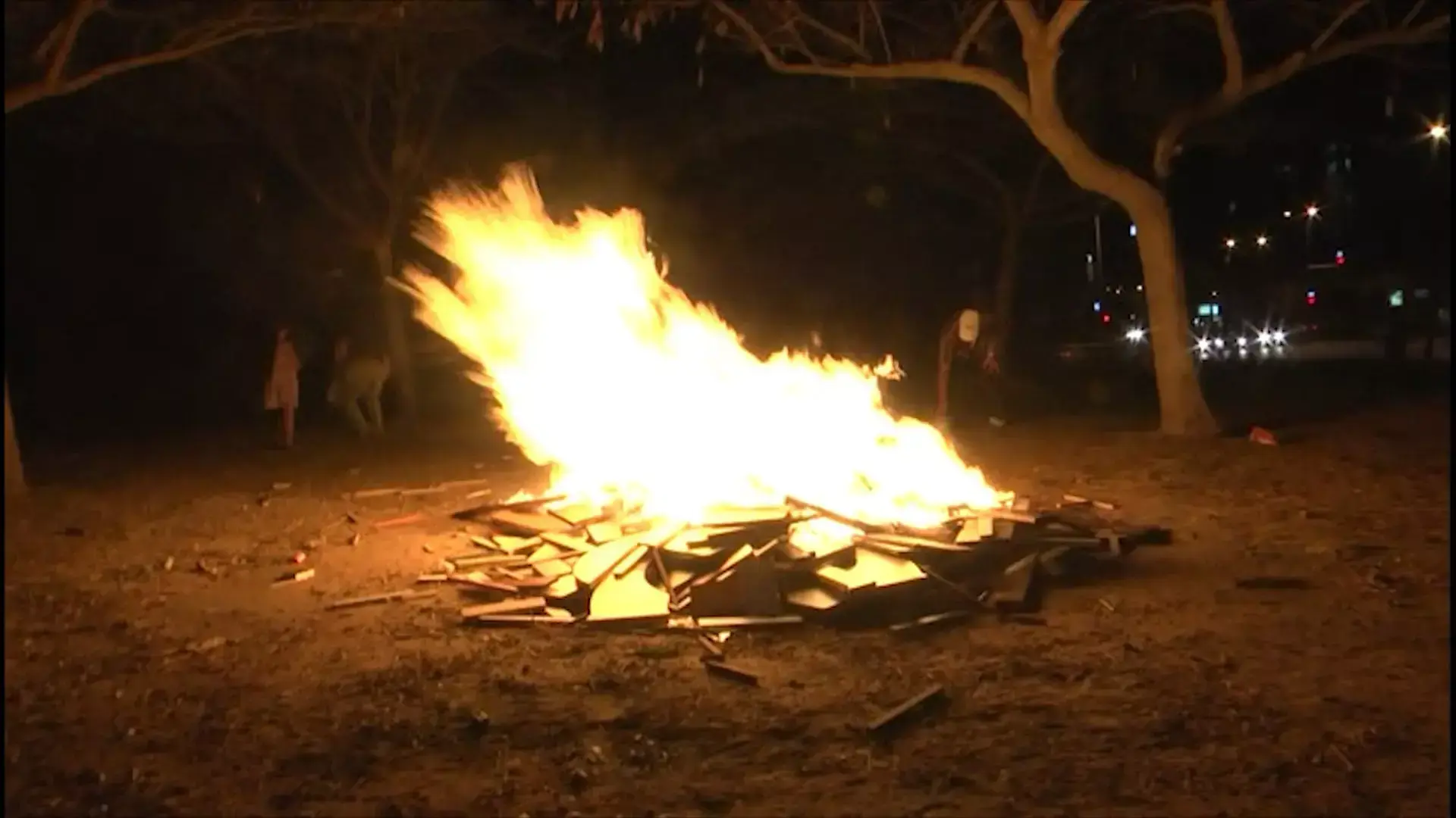 כך תבחרו את המקום הטוב ביותר להדליק מדורה