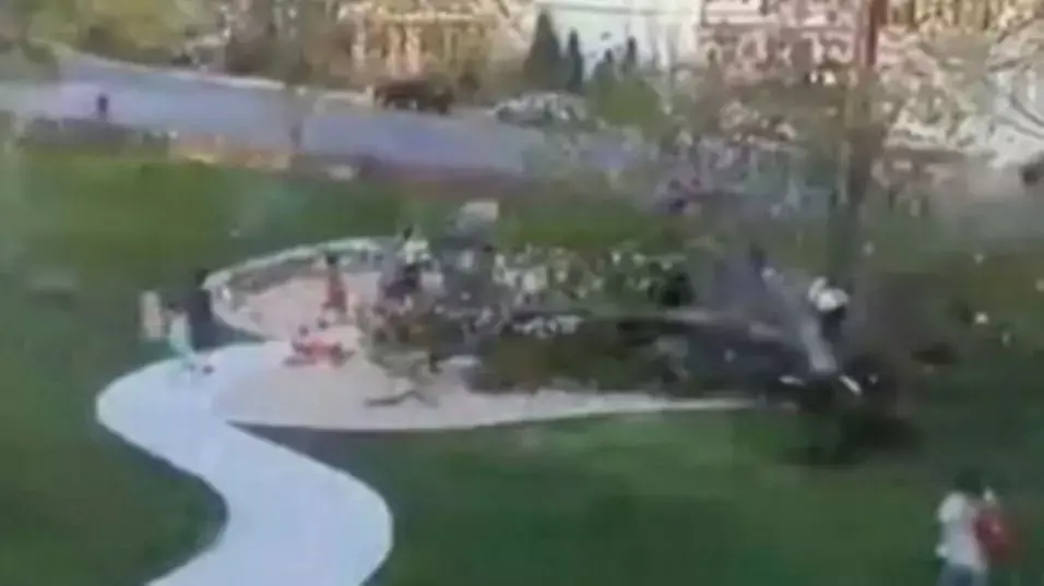צפו ברגע מפחיד: עץ ענק התמוטט על ילדים בפארק