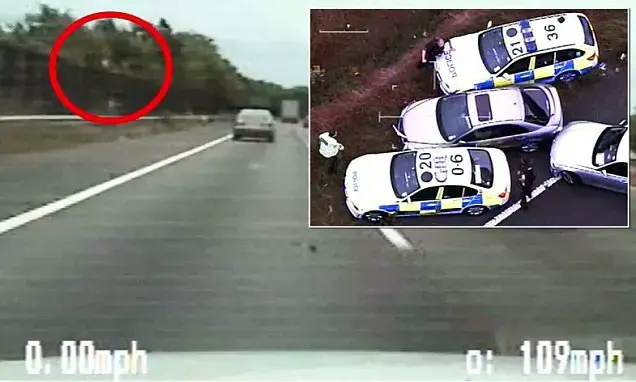 תיעוד: זהו המרדף המשטרתי שזכה בתואר "הטוב ביותר של השנה"