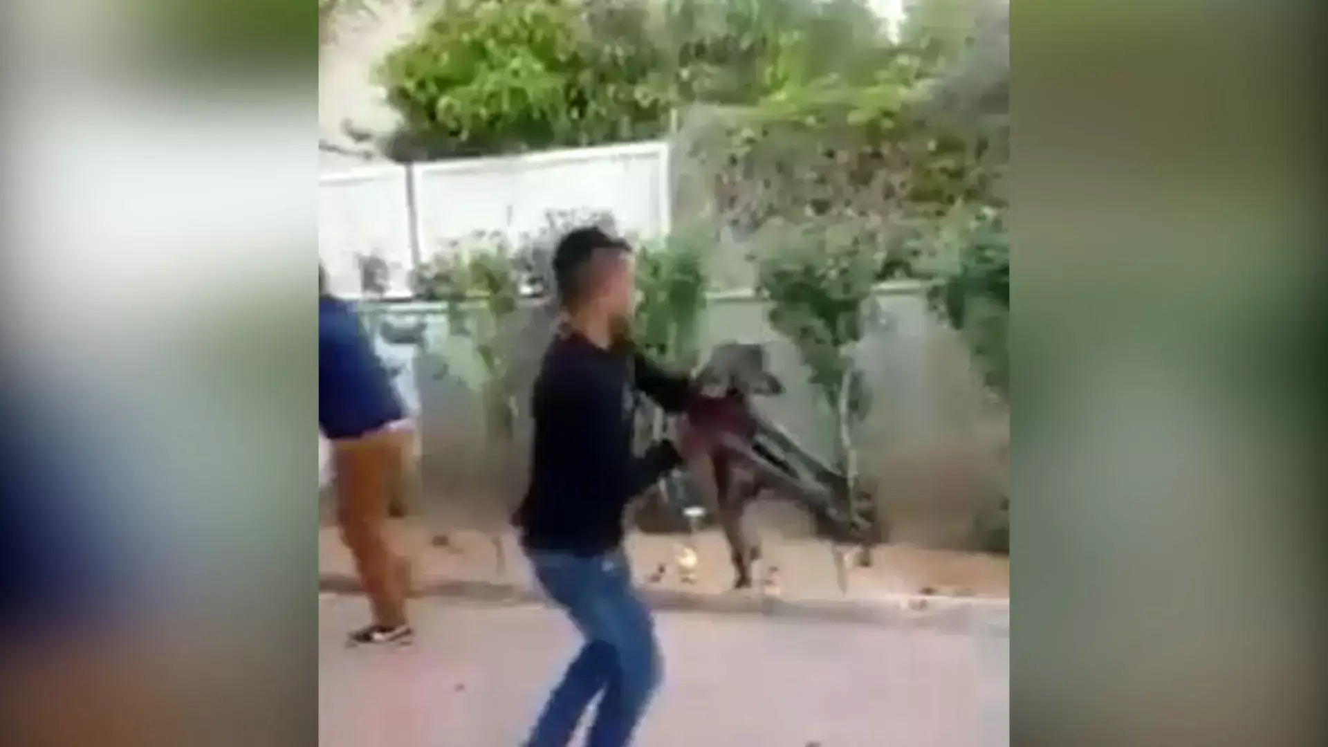 הצעיר שהשליך כלבה מעל גדר בכפר סבא נאשם בהתעללות