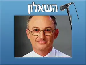 אריה אלדד
