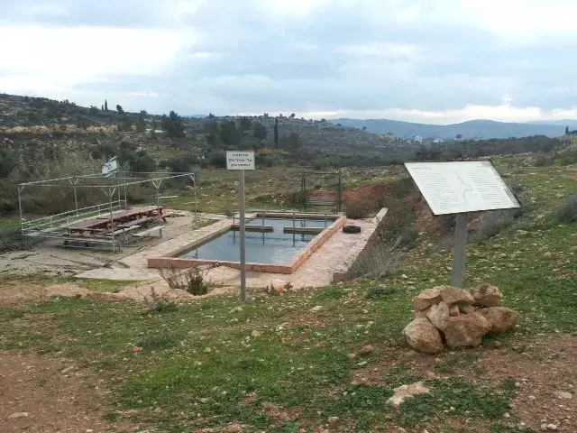 האם החטיבה להתיישבות מימנה בנייה בלתי-חוקית על אדמות מדינה?