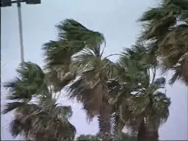 רוחות עזות נשבו הלילה ברחבי הארץ