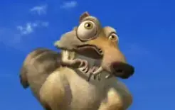 אגוזי