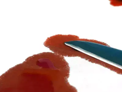 דיון נוסף בשחרור של חשוד ברצח אשתו