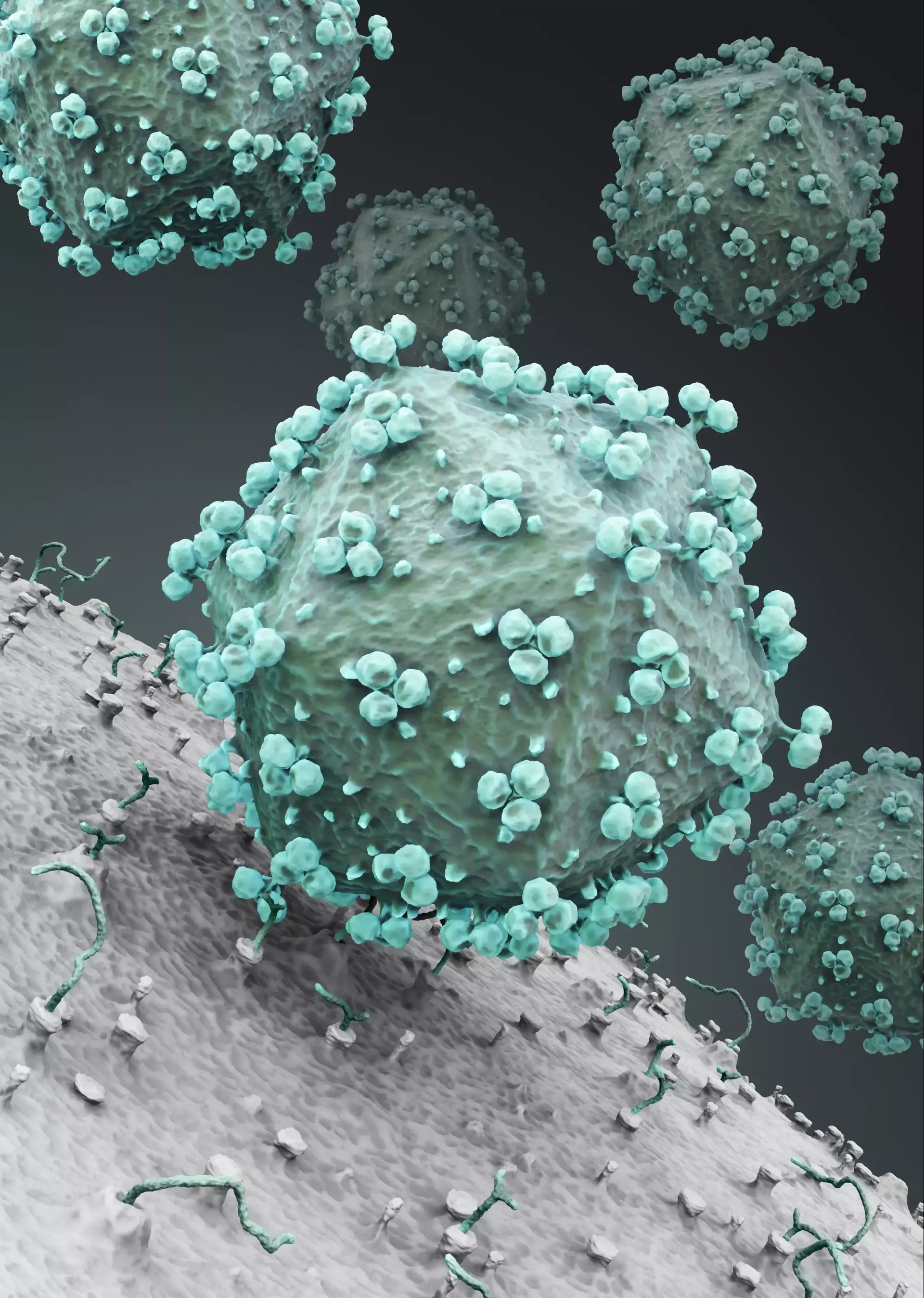 מרפאה בלונדון חשפה בטעות 780 נשאי HIV שמטופלים אצלה