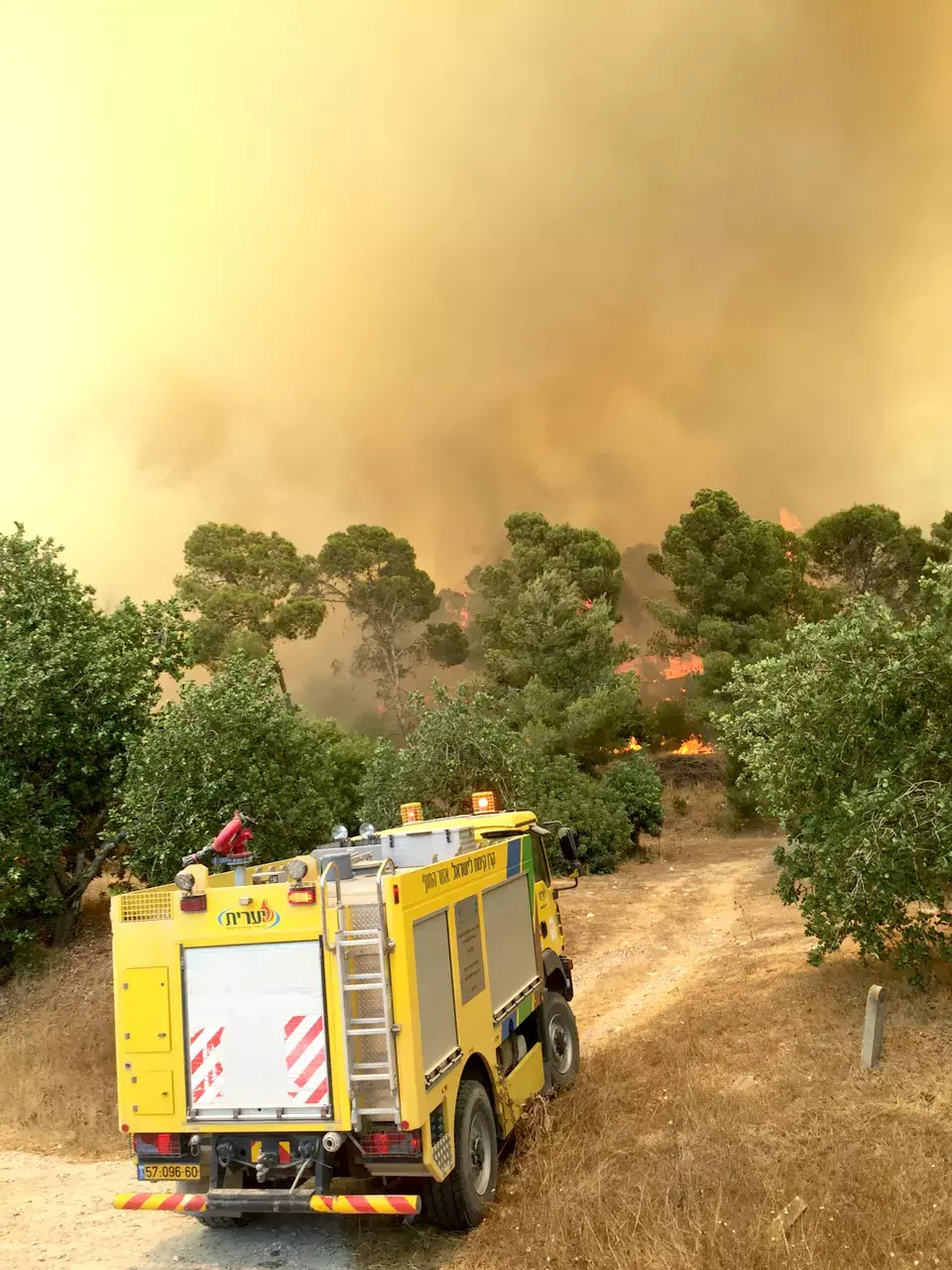 הכותרות המרכזיות שעשו את סוף השבוע
