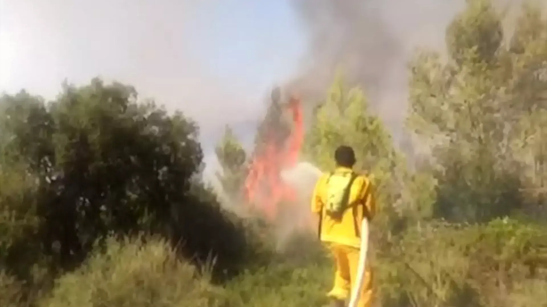 במחוז ירושלים מזהירים: "יש עלייה במספר השריפות באזור"