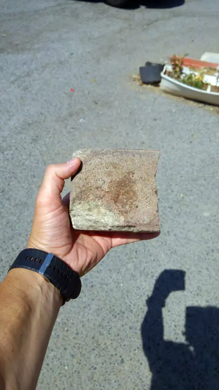 נעצרה כנופייה שהשליטה אימה על בני נוער בגן יבנה