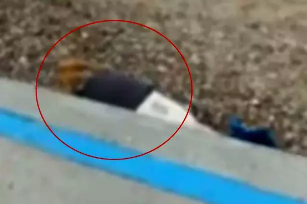 זוג צולם מקיים יחסי מין בחוף הים מול משפחות עם ילדים