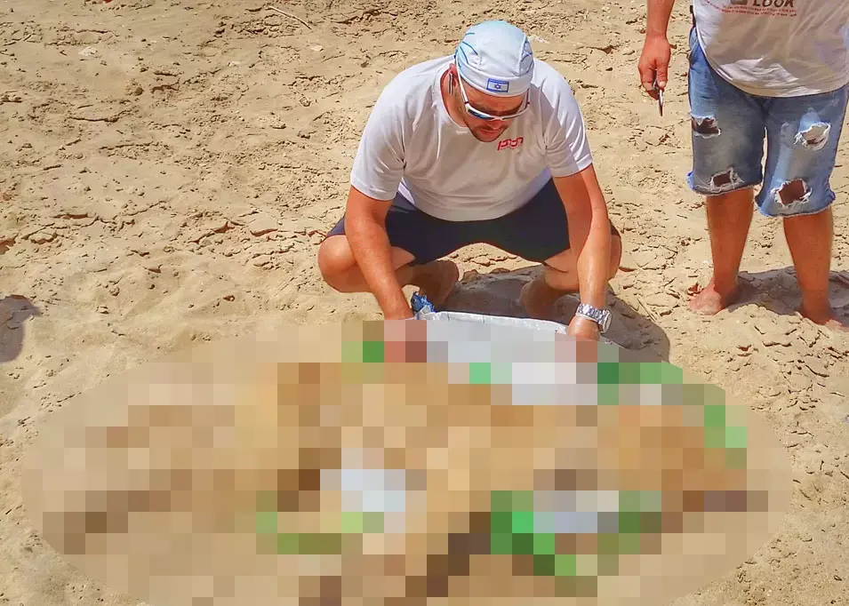 בעלי הכלבה: "אם רציתי, יכולתי להרוג אותה בבריכה הפרטית"