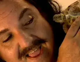 יותר מדי סקס?