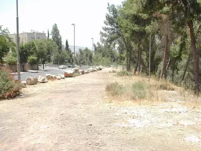 האם יהפוך הר נוף להר ללא נוף?