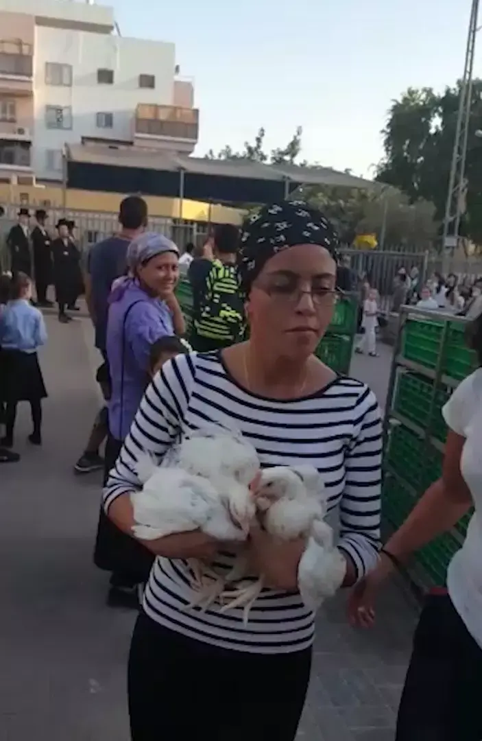 במחאה על מנהג הכפרות: פעילים התפרעו באשדוד ובפתח תקווה