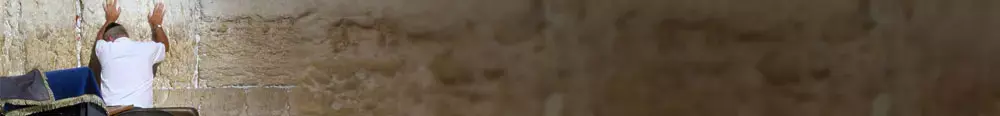 חטאתם לפנינו