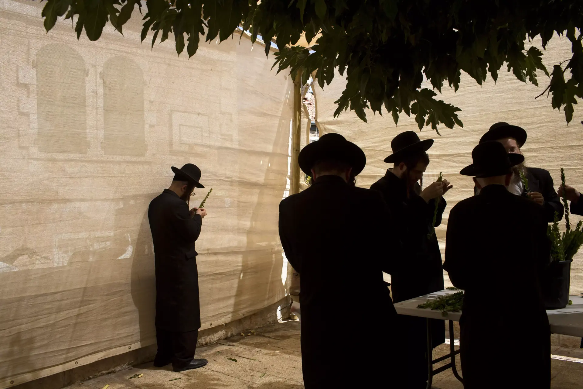 שבט קליין: חרדים התארסו  והפכו הורים ל-29 ילדים