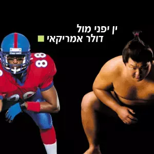 התנודות בשוק המט&rdquo;ח (כתבה פרסומית)