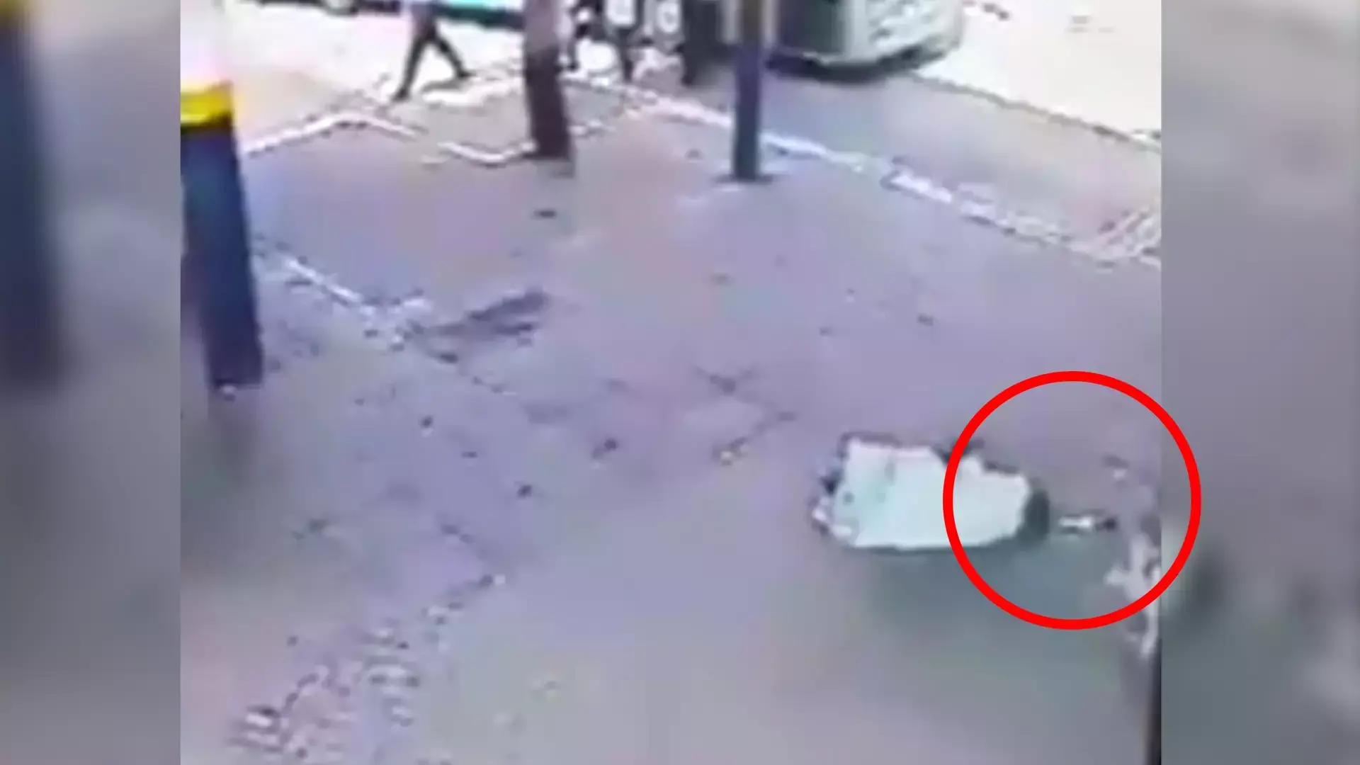 דרישה מהיועץ המשפטי: חקור ירי במחבלים שלא סיכנו חיים