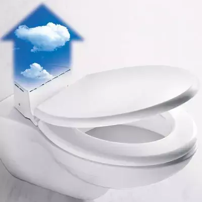 שירותים מקולקלים ב-300,000 יורו