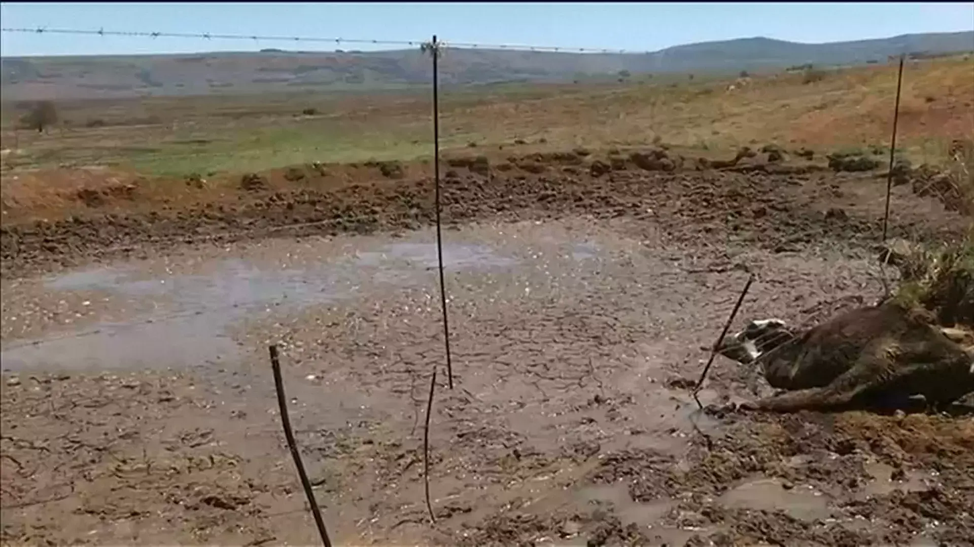 אזהרה חריגה: השיבוש הקטלני בטבע שעלול להוביל לאסון עולמי כבר השנה