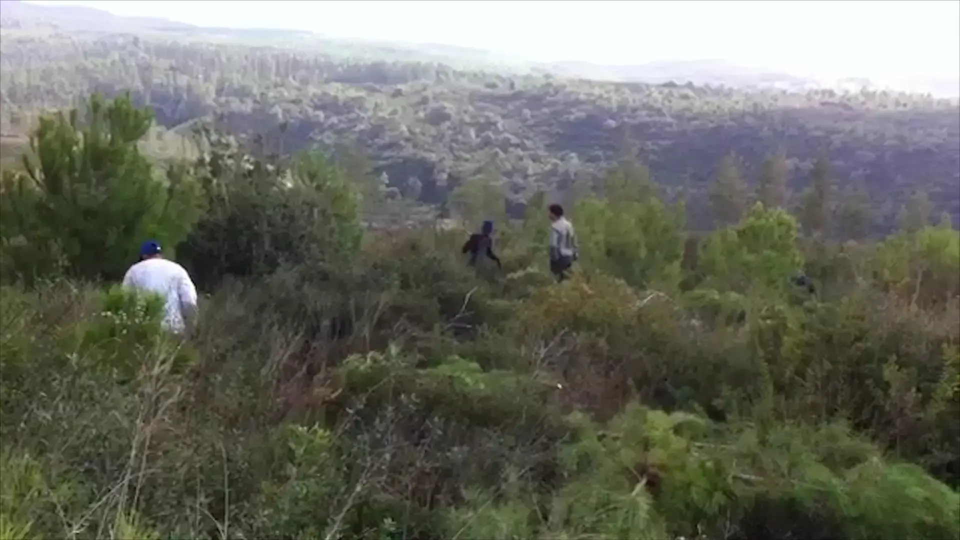גם אחרי 8 שנים: "ישראל לא ערוכה להתמודד עם עוד 'אסון הכרמל'"