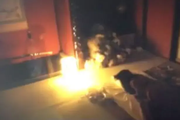 אמיתי או לא? תיעוד מפחיד של  רוח רפאים של ילד מסעירה את יפן