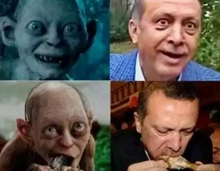 טורקיה: רופא שהשווה את ארדואן לדמות משר הטבעות מואשם בהעלבתו