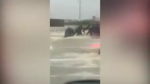החדשות בדקה: זרים יצרו שרשרת אנושית  וחילצו אדם מההצפות