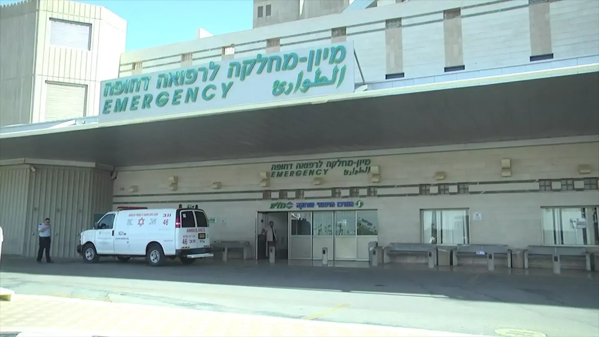 בעקבות מקרה המוות: כל מה שצריך לדעת על שפעת החזירים