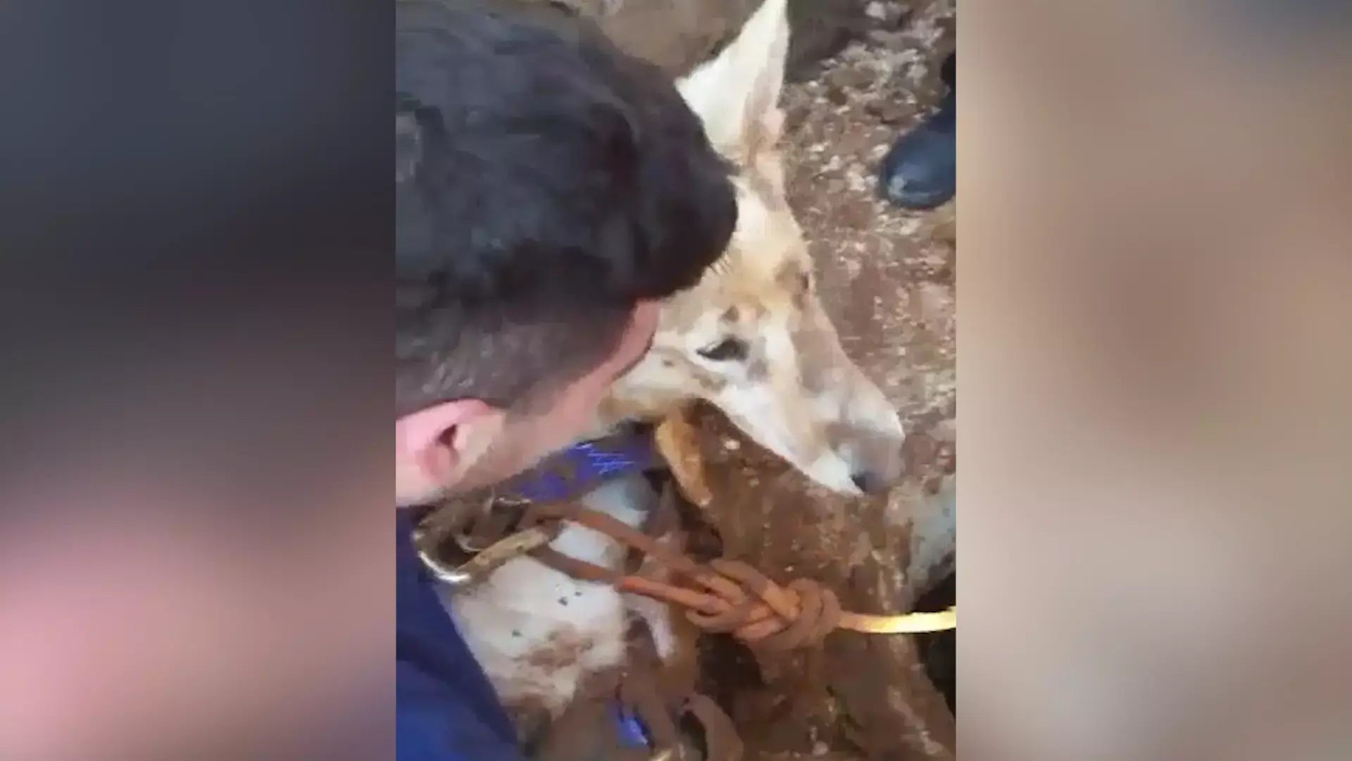 האישה הזו נפלה לביוב - ומצאה שם את הילד הנעדר שכולם חיפשו