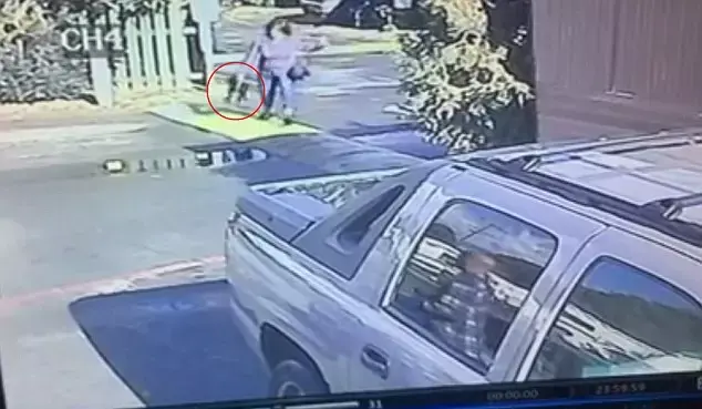 המשטרה מחפשת אחרי אישה שהתעללה בכלב לעיני המצלמה