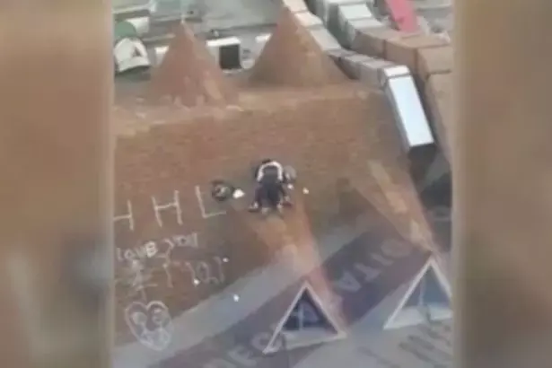 התלמידים חשבו שאיש לא רואה אותם מתמזמזים - ואז זה קרה