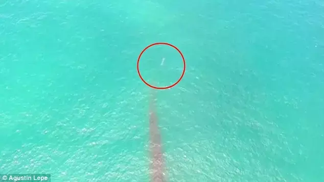 מקורב לטראמפ טוען: הנשיא אמר שהעב"מים נמצאים באוקיינוס