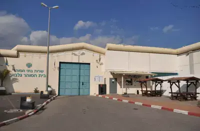השרוואל והפוסט "הפרובוקטיבי": מדוע פוטרה מורה מתכנית חינוך אסירים?